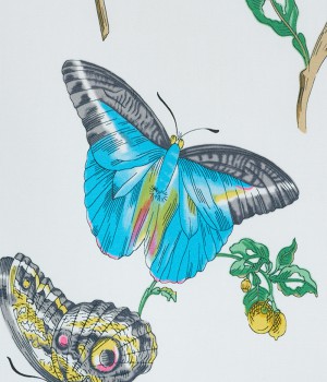 Baudin Butterfly Chintz